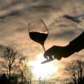 Rotwein